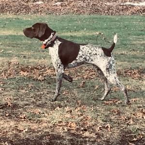 Meet your Posher, Dan